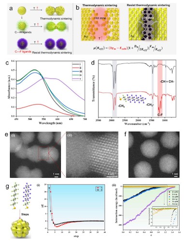 图2.基于界面第三相微环境的超晶格组装机制研究
