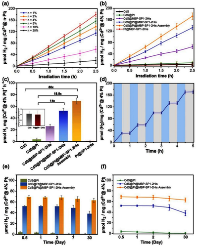图4. 体系光催化性能及稳定性探究