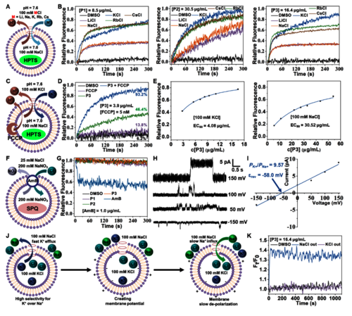 图 1. 基于LUVs和脂双层的离子传输活性和选择性评估实验