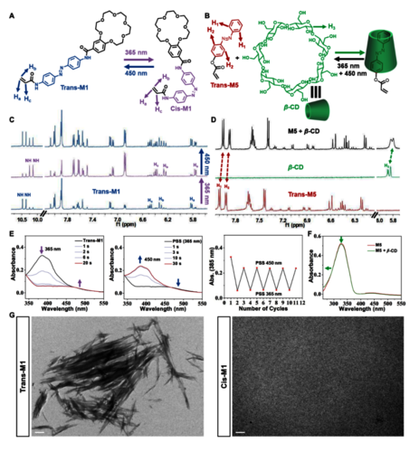 图 2.光异构化和主客体复合研究