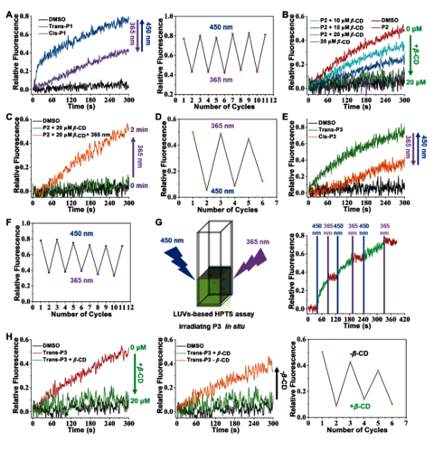 图 3. 光控多种K+传输状态研究。