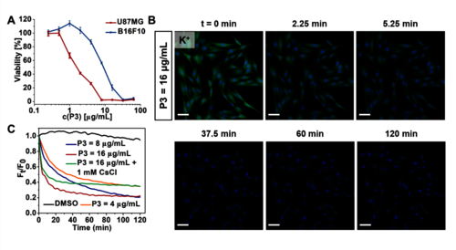图 4.抗癌活性研究与K+外流监测