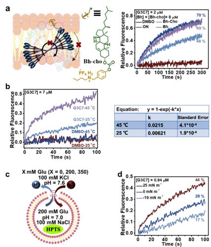 图4. GnC7（以G3C7为代表）的运动性能和机械敏感性研究。